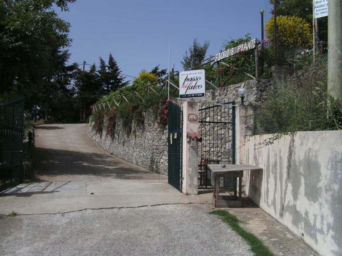B&B Passo Del Falco Sorianello Dış mekan fotoğraf