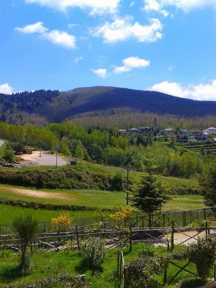 B&B Passo Del Falco Sorianello Dış mekan fotoğraf