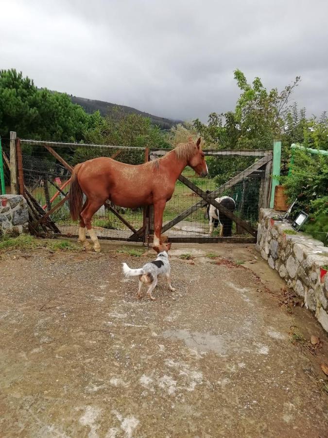 B&B Passo Del Falco Sorianello Dış mekan fotoğraf