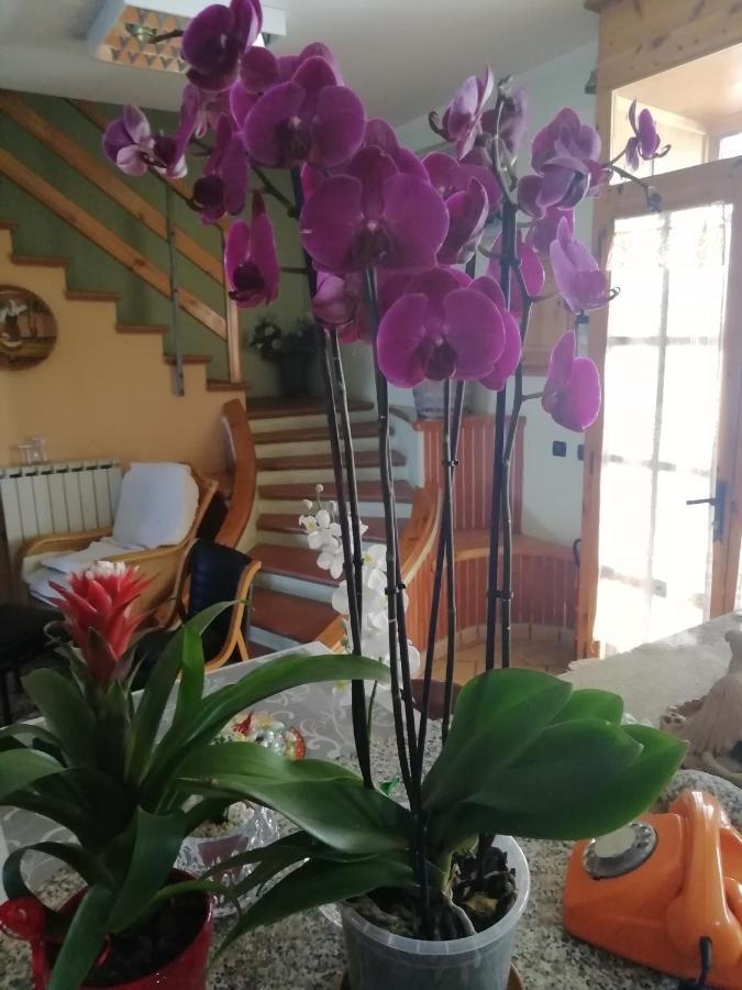 B&B Passo Del Falco Sorianello Dış mekan fotoğraf