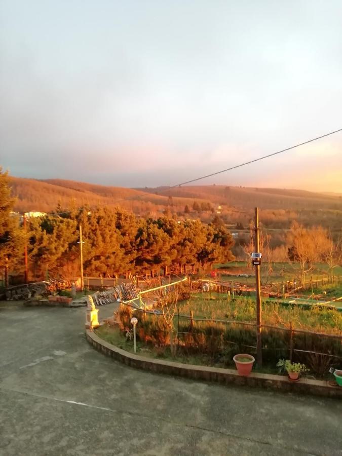 B&B Passo Del Falco Sorianello Dış mekan fotoğraf