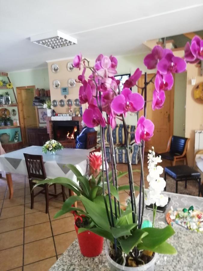 B&B Passo Del Falco Sorianello Dış mekan fotoğraf