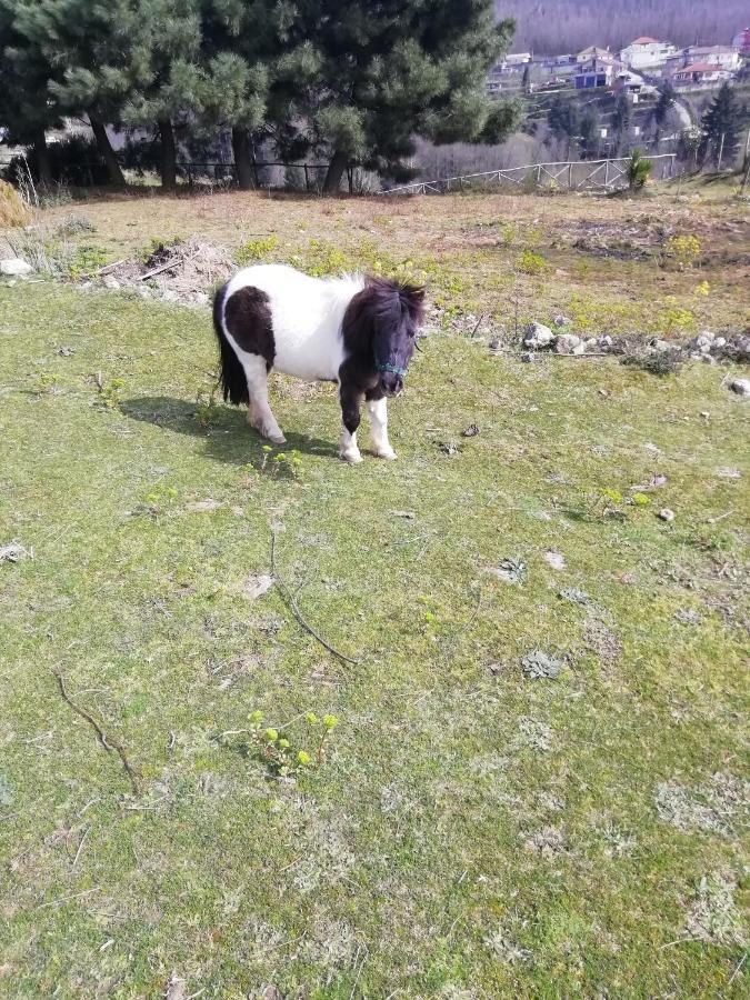 B&B Passo Del Falco Sorianello Dış mekan fotoğraf