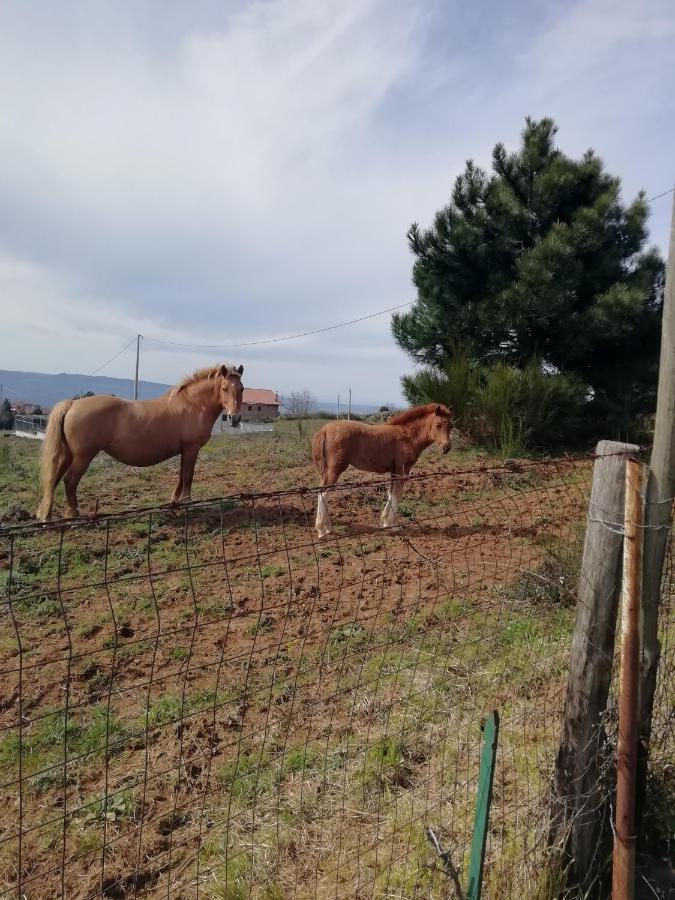 B&B Passo Del Falco Sorianello Dış mekan fotoğraf